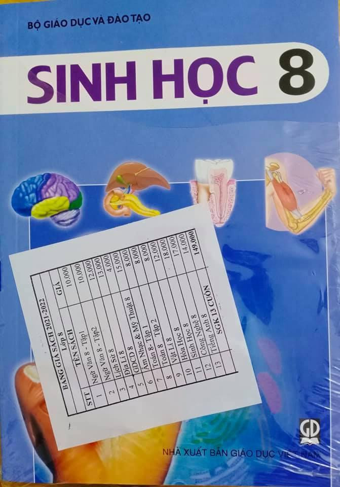Trừ đi sách Tiếng Anh, sách 10 môn học còn lại có giá 135.000 đồng (Ảnh: L.V.M.) Trừ đi sách Tiếng Anh, sách 10 môn học còn lại có giá 135.000 đồng (Ảnh: L.V.M.)