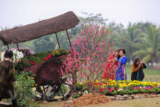 Sáng 18/2, lễ hội Xuân ba miền đã chính thức được khai mạc tại khu đô thị Ecopark. (Ảnh: Minh Sơn/Vietnam+) Sáng 18/2, lễ hội Xuân ba miền đã chính thức được khai mạc tại khu đô thị Ecopark. (Ảnh: Minh Sơn/Vietnam+)