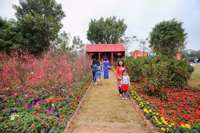 Đúng như tên gọi Xuân ba miền, lễ hội tái hiện lại hoàn hảo không gian truyền thống Tết của ba miền đất nước Bắc -Trung - Nam với đường hoa đào đỏ thắm, hoa mai vàng rực, con đường lồng đèn Hội An, chợ nổi miền Tây… (Ảnh: Minh Sơn/Vietnam+).