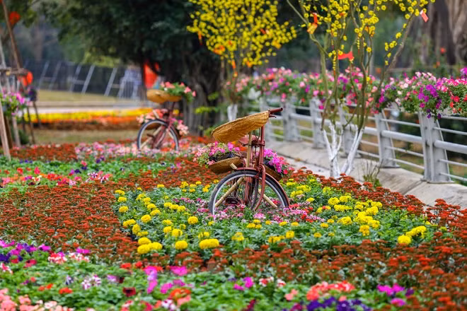 Đường hoa rực rỡ cùng nhiều hoạt động truyền thống Tết ba miền là điểm nhấn độc đáo hấp dẫn du khách trong lễ hội Xuân ba miền được tổ chức tại khu đô thị Ecopark. (Ảnh: Minh Sơn/Vietnam+)