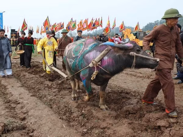 Tái hiện màn vua đi cày tại Lễ Tịch điền ở Hà Nam. (Ảnh: Quý Trung/TTXVN)