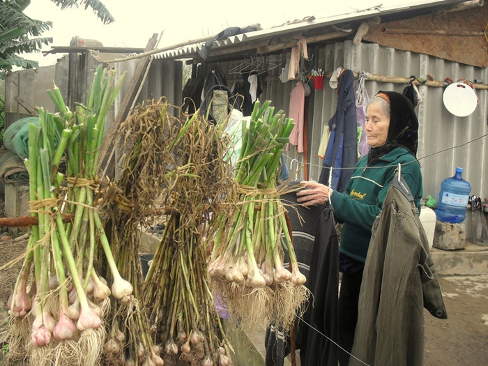 Thương cảnh hai cô con dâu và cháu nội bám trụ nơi đầu sóng ngọn gió, mẹ ông Vươn đã hơn 80 tuổi thi thoảng đến thăm nom, động viên con cháu.