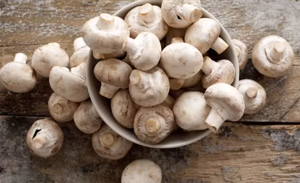 Nấm là một trong số sáu loại thực phẩm giúp tăng cường hệ miễn dịch (Ảnh theo Health Magazine).