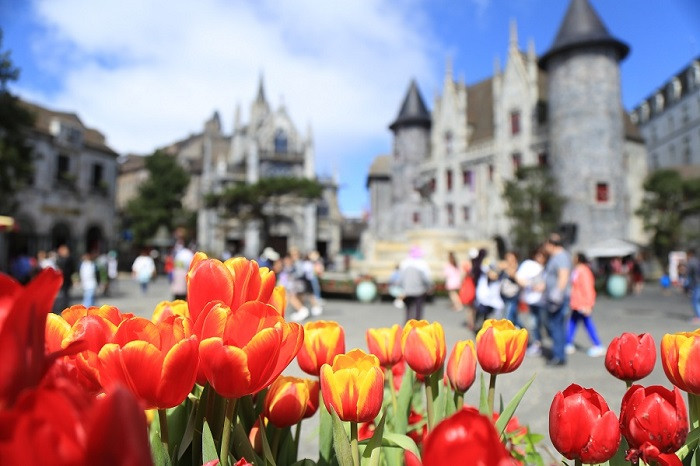 Lễ hội hoa với hàng trăm loài hoa rực rỡ khoe sắc.