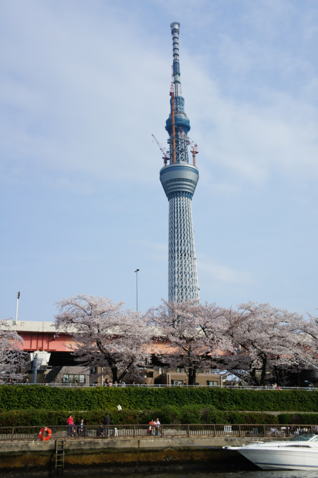 Tháp Tokyo Sky Tree nhìn từ xa Tháp Tokyo Sky Tree nhìn từ xa
