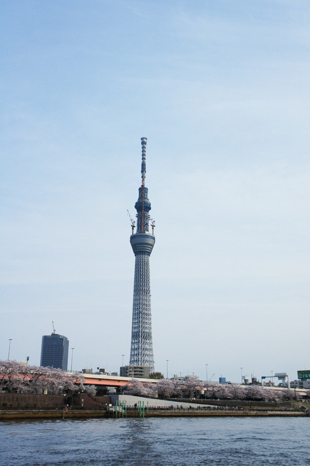 Tháp Tokyo Sky Tree nhìn từ xa Tháp Tokyo Sky Tree nhìn từ xa