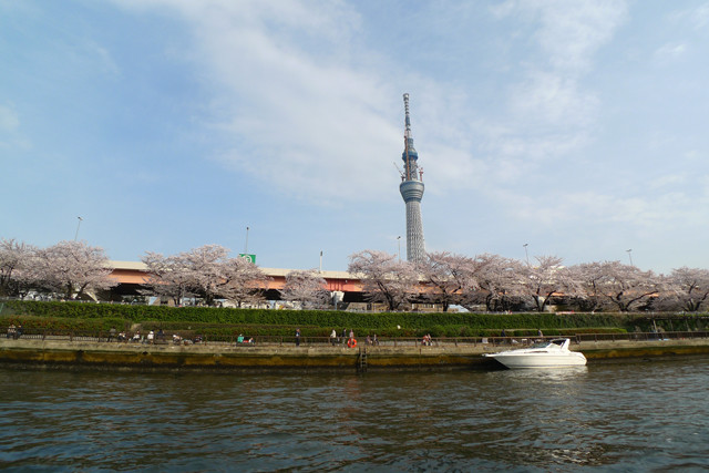 Tháp Tokyo Sky Tree nhìn từ xa Tháp Tokyo Sky Tree nhìn từ xa