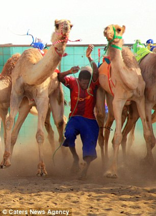 Nguy hiểm luôn rình rập