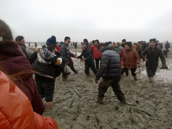 Người dân hiếu kỳ tới xem cá voi Người dân hiếu kỳ tới xem cá voi