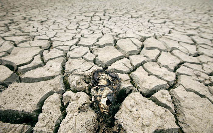 Một con cá chết trên đáy nứt nẻ của một hồ nước khô cạn do hạn hán tại Siheung, nam Seoul, Hàn Quốc ngày 22/6. Một con cá chết trên đáy nứt nẻ của một hồ nước khô cạn do hạn hán tại Siheung, nam Seoul, Hàn Quốc ngày 22/6.
