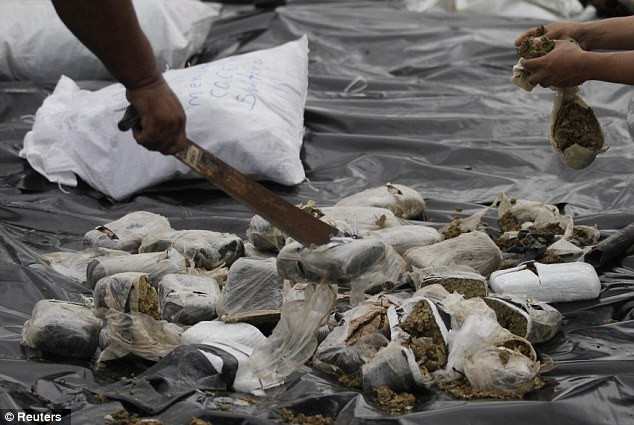 Cần sa được cắt nhỏ trước khi đốt. Cần sa được cắt nhỏ trước khi đốt.