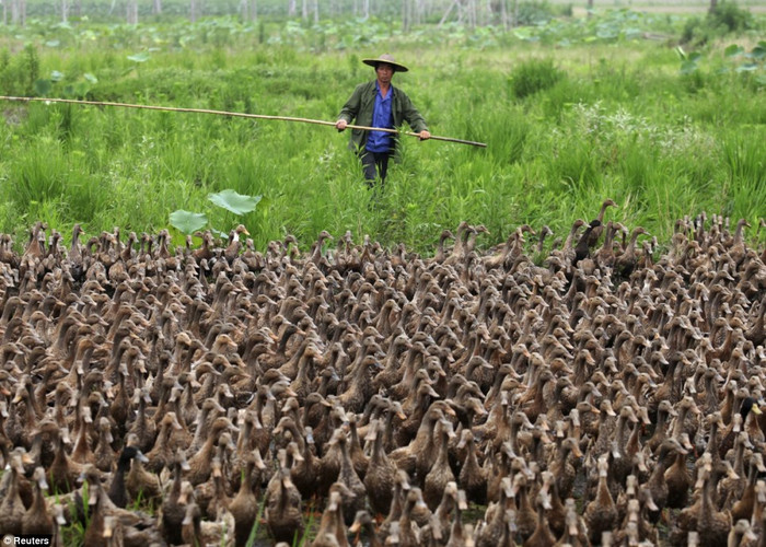 Taizhou nằm cách phía nam thành phố Thượng Hải khoảng 304km. Thành phố này có 6 triệu dân. Taizhou nằm cách phía nam thành phố Thượng Hải khoảng 304km. Thành phố này có 6 triệu dân.
