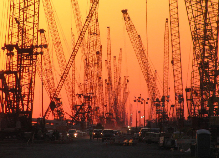 Rừng cần cẩu tại Louisiana Crane, Louisiana, Mỹ. Ảnh Tom Walsdorf. Rừng cần cẩu tại Louisiana Crane, Louisiana, Mỹ. Ảnh Tom Walsdorf.
