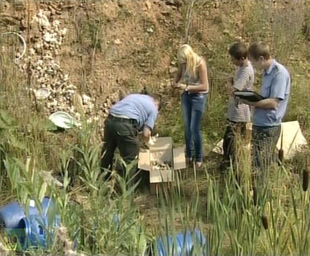 248 bào thai được đựng trong 4 thùng chứa màu xanh đã bị bật nắp khiến chúng vương vãi ra ngoài. 248 bào thai được đựng trong 4 thùng chứa màu xanh đã bị bật nắp khiến chúng vương vãi ra ngoài.