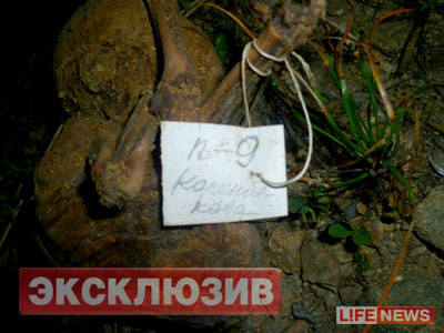 Một bào thai có nhãn ghi tên mẹ và con số ám chỉ tuần thai hoặc tên bệnh viện. Một bào thai có nhãn ghi tên mẹ và con số ám chỉ tuần thai hoặc tên bệnh viện.