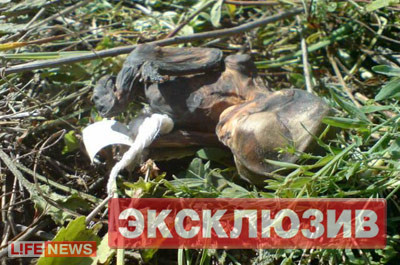 Cảnh sát và Bộ Y tế Nga đang tiếp tục tiến hành điều tra làm rõ trách nhiệm của các bên có liên quan. Cảnh sát và Bộ Y tế Nga đang tiếp tục tiến hành điều tra làm rõ trách nhiệm của các bên có liên quan.