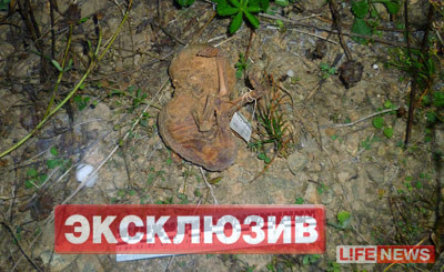 Theo các chuyên gia, các bào thai này dường như được sử dụng cho mục đích nghiên cứu. Theo các chuyên gia, các bào thai này dường như được sử dụng cho mục đích nghiên cứu.