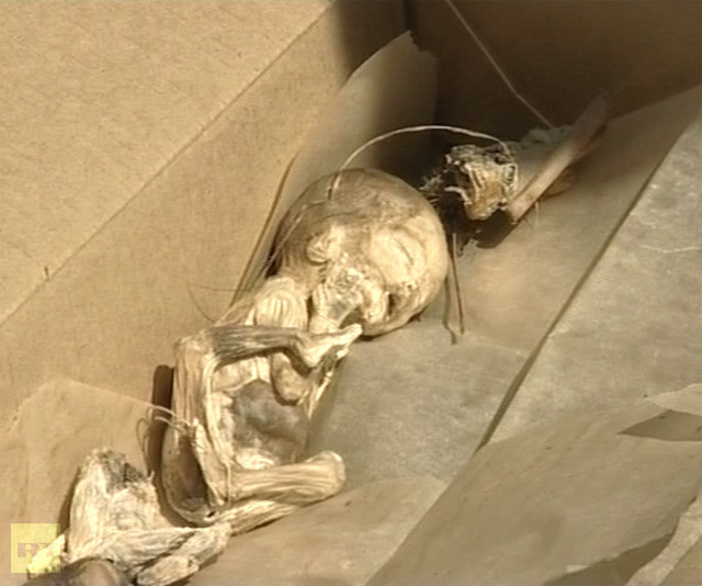 Các bào thai khô được xác định đã có ít nhất 10 năm. Các bào thai khô được xác định đã có ít nhất 10 năm.