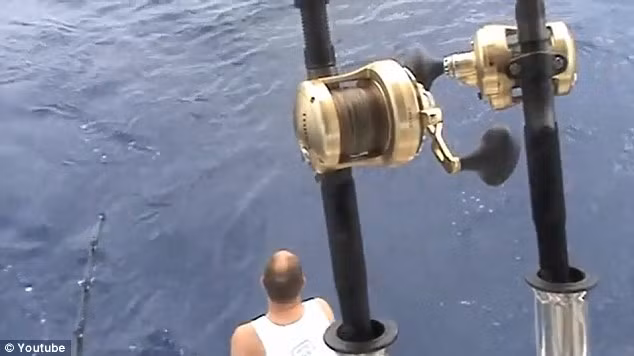 Một trong 3 người câu cá nhận ra sự xuất hiện của những con cá mập xung quanh thành quả của họ.