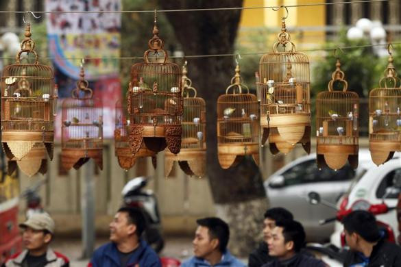 Ngồi nghe chim hót tại hồ Ha-le (hồ Thiền Quang) tại Hà Nội ngày 7/3/2011