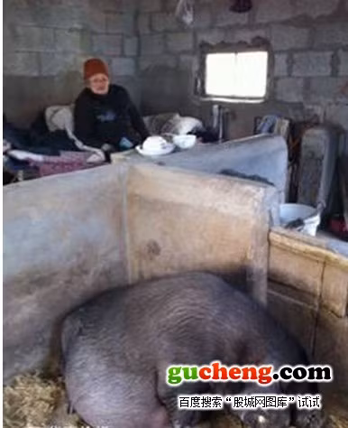 Bức ảnh tải lên mạng internet khiến cộng đồng phẫn nộ với những đứa con bất hiếu