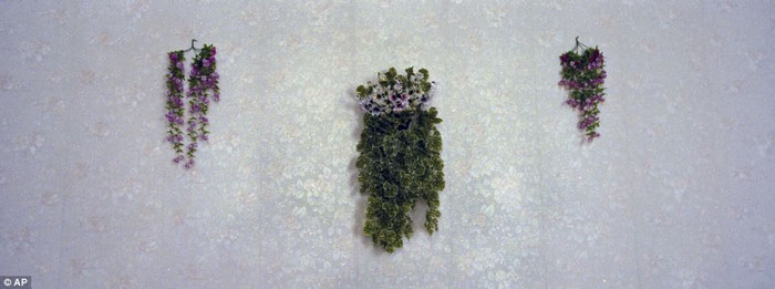 Hoa giả treo trên tường một nhà hàng gần Samjiyon. Hoa giả treo trên tường một nhà hàng gần Samjiyon.