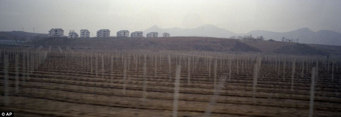 Vườn táo trên một ngọn đồi ở nông trại táo, ngoại ô Bình Nhưỡng. Vườn táo trên một ngọn đồi ở nông trại táo, ngoại ô Bình Nhưỡng.