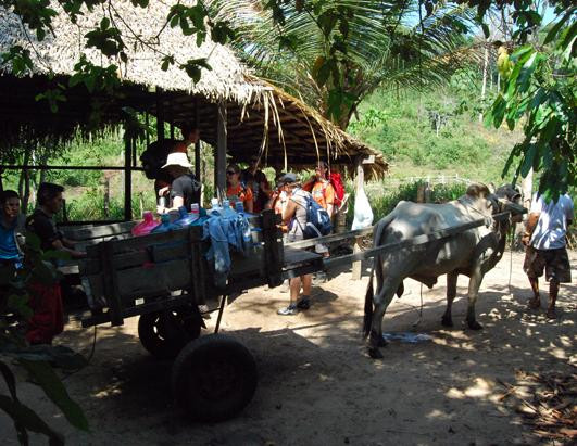 Mỗi ngày, các vận động viên đều phải đối mặt với cái nóng, bùn dày và và những con nhện đen khổng lồ khi chạy từ điểm dừng chân này này tới điểm khác.