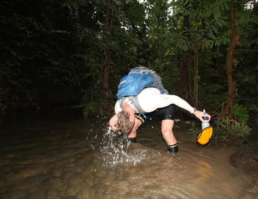 Nhưng bơi cũng là một cách cần thiết để họ đối phó với cái nóng bỏng da của rừng nhiệt đới.