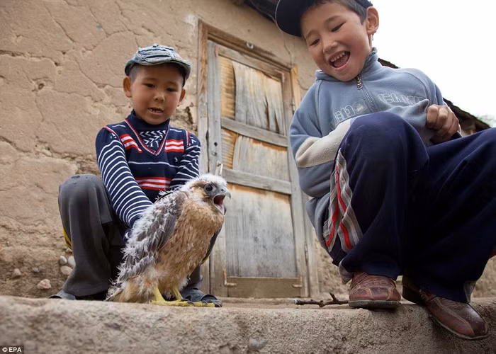 .Azim (phải) và Aybek rất thích chơi với con chim ưng. .Azim (phải) và Aybek rất thích chơi với con chim ưng.