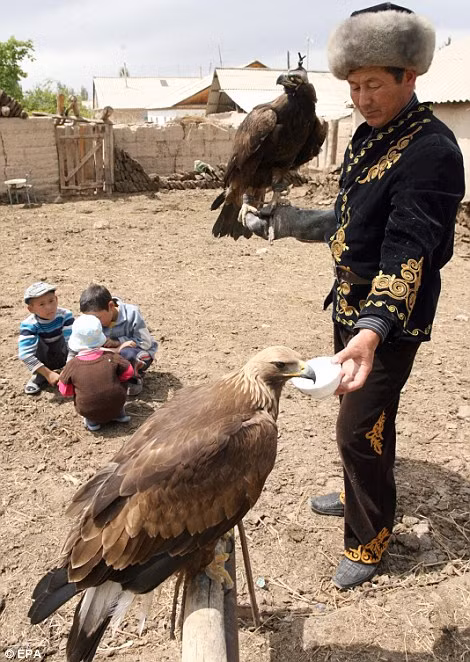 Ông Talgarbek cho đại bàng vàng uống nước. Ông Talgarbek cho đại bàng vàng uống nước.