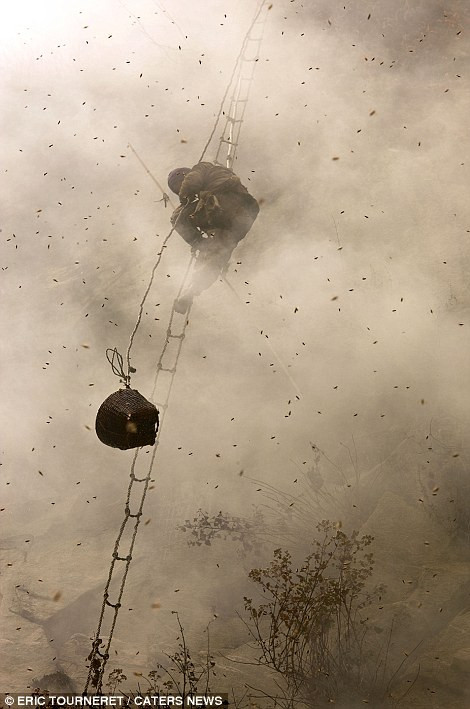 Theo nhiếp ảnh gia Eric Tourneret, 47 tuổi, đây là một công việc rất nguy hiểm và đã có rất nhiều người chết khi đang khai thác mật. Theo nhiếp ảnh gia Eric Tourneret, 47 tuổi, đây là một công việc rất nguy hiểm và đã có rất nhiều người chết khi đang khai thác mật.