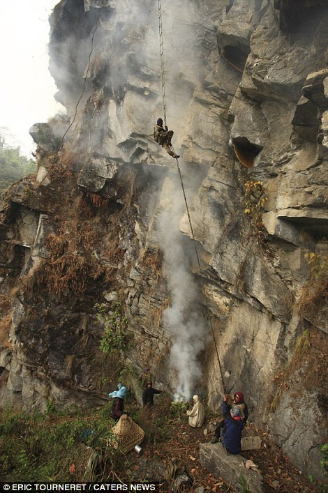 Khi leo tới tổ ong, họ sẽ phải thu thập mật bằng tay suốt 4 giờ đồng hồ trong trạng thái như thế này. Khi leo tới tổ ong, họ sẽ phải thu thập mật bằng tay suốt 4 giờ đồng hồ trong trạng thái như thế này.