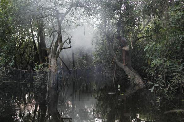 Người Yawalapiti bắt cá để phục vụ lễ Quarup Người Yawalapiti bắt cá để phục vụ lễ Quarup