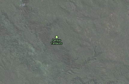 4. Vườn Quốc gia, Chile là một khu bảo tồn thiên nhiên tư nhân, nơi sinh sống của nhiều loài động vật có nguy cơ tuyệt chủng nhưng chỉ được mô tả như là một cánh rừng rộng lớn đầy cây xanh.