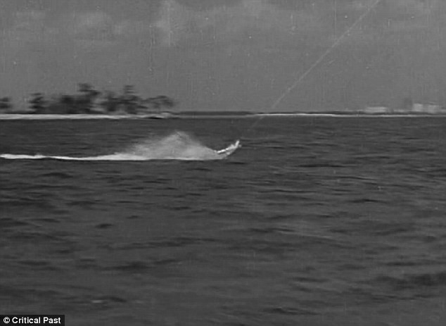 Con cá mập bị kéo lê trên mặt nước. Con cá mập bị kéo lê trên mặt nước.