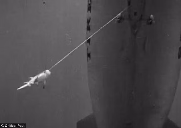 Cá mập được đưa lên khinh khí cầu. Cá mập được đưa lên khinh khí cầu.