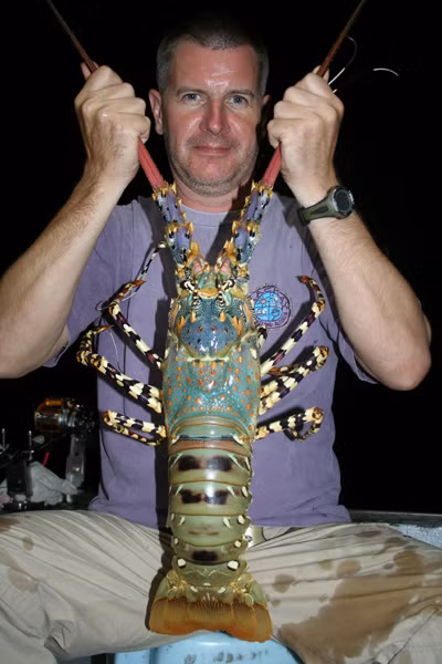 Bắt tôm hùm trên đảo Borneo Bắt tôm hùm trên đảo Borneo