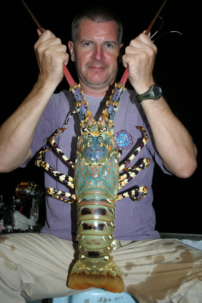 Bắt tôm hùm trên đảo Borneo