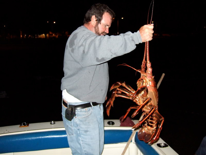 Con tôm hùm được bắt trong tháng 5/2008