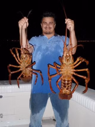 Hai con tôm hùm nặng 3,5 và 5,5 kg được bắt tại Mỹ tháng 10/2009. Hai con tôm hùm nặng 3,5 và 5,5 kg được bắt tại Mỹ tháng 10/2009.