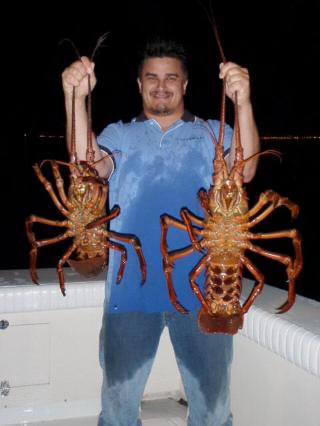 Hai con tôm hùm nặng 3,5 và 5,5 kg được bắt tại Mỹ tháng 10/2009.