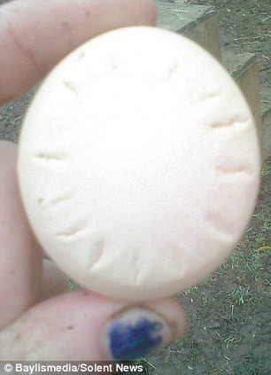 Quả trứng dự báo trời nắng được phát hiện năm 2011 Quả trứng dự báo trời nắng được phát hiện năm 2011