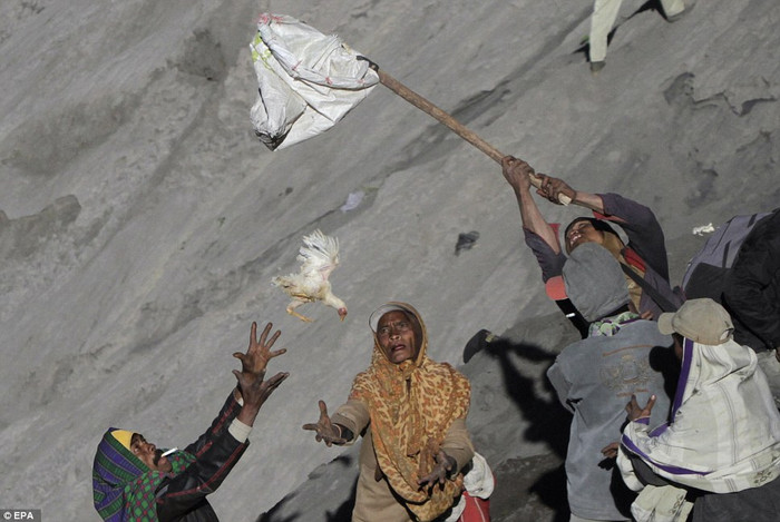 Hứng vật tế bằng lưới và tay không.