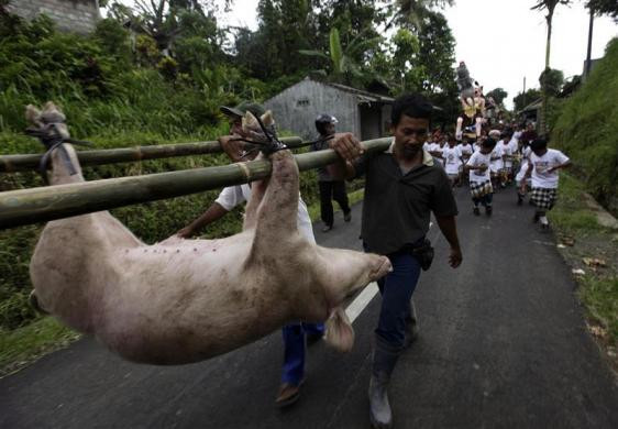 Những người đàn ông khiêng lợn trong khi trẻ em mang theo hình nộm Ogoh-ogoh tại Ubud Gianyar, Bali ngày 21/3