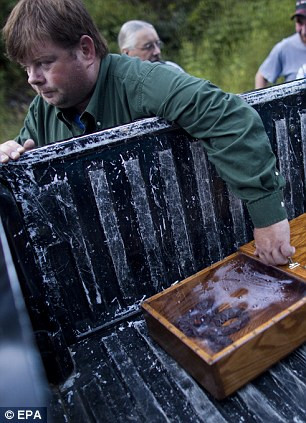 Một tín đồ mang rắn đến nhà thờ thực thi nghi lễ cực đoan