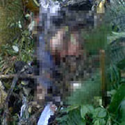 Thi thể của viên phi công điều khiển máy bay gặp nạn.