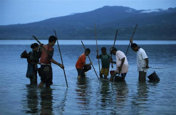 Giáo dân làng chài gần bãi biển Larantuka, đảo Flores của Indonesia bắt cá bằng cọc ngày 29/3/2010.