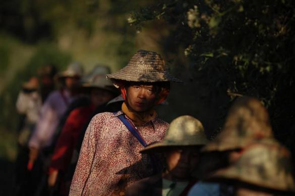 Dân làng Ho Hwayt đi bộ về nhà sau khi phá hủy các cánh đồng trồng thuốc phiện ngày 26/1/2012. Dân làng Ho Hwayt đi bộ về nhà sau khi phá hủy các cánh đồng trồng thuốc phiện ngày 26/1/2012.
