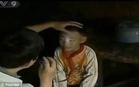 Dự kiến, các chuyên gia sẽ tiếp tục nghiên cứu và phân tích để làm rõ khả năng thực sự của Nong Yousui